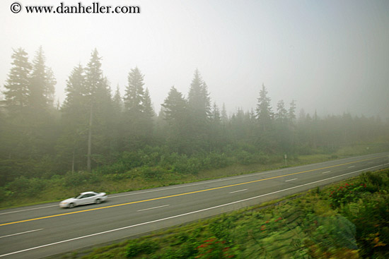 fog-trees-car-highway.jpg