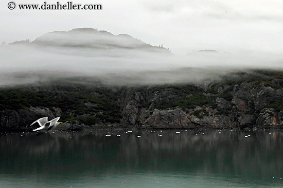 mountain-fog-n-water-03.jpg