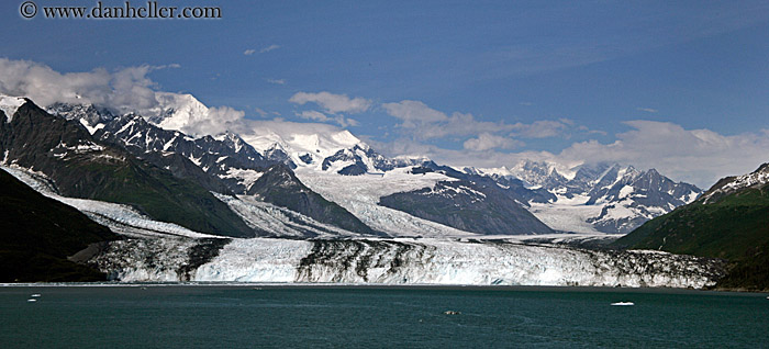harvard-glacier-1.jpg
