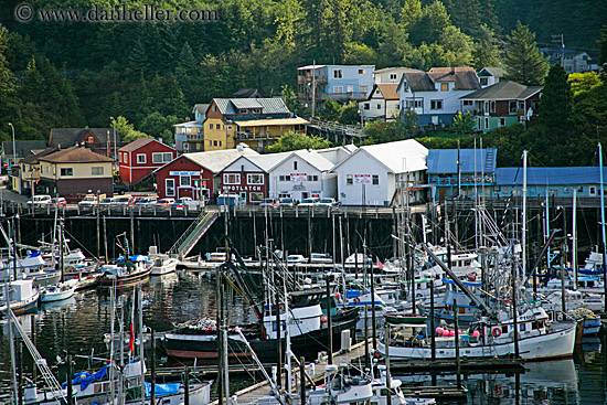 ketchikan-harbor-4.jpg