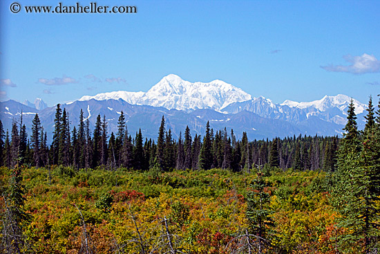 mt-mckinley-08.jpg