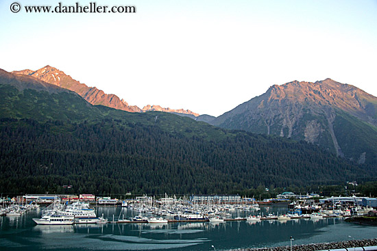 seward-2.jpg