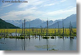 images/UnitedStates/Alaska/Rivers/river-n-mountains-08.jpg