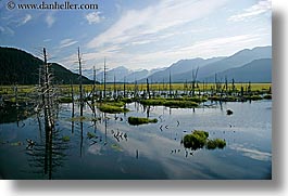 images/UnitedStates/Alaska/Rivers/river-n-mountains-09.jpg