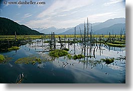 images/UnitedStates/Alaska/Rivers/river-n-mountains-11.jpg
