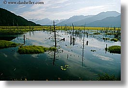 images/UnitedStates/Alaska/Rivers/river-n-mountains-12.jpg