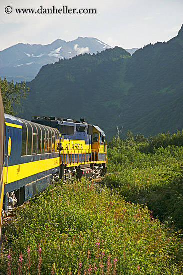 alaska-train-6.jpg