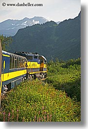 images/UnitedStates/Alaska/Train/alaska-train-6.jpg
