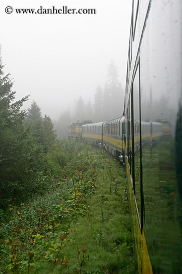 train-in-fog-1.jpg