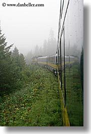 alaska, america, fog, north america, trains, united states, vertical, photograph