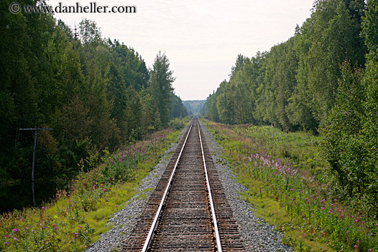 train-tracks-2.jpg