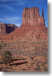 america, arizona, desert southwest, monument, monument valley, north america, united states, valley, vertical, western usa, photograph