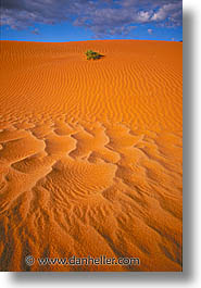 america, arizona, desert southwest, monument, monument valley, north america, united states, valley, vertical, western usa, photograph