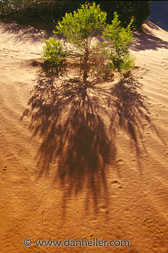 monument-valley-30.jpg