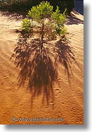 america, arizona, desert southwest, monument, monument valley, north america, united states, valley, vertical, western usa, photograph