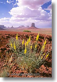 america, arizona, desert southwest, monument, monument valley, north america, united states, valley, vertical, western usa, photograph