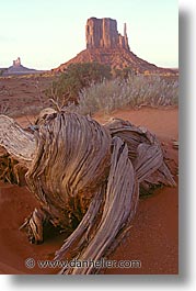 america, arizona, desert southwest, monument, monument valley, north america, united states, valley, vertical, western usa, photograph