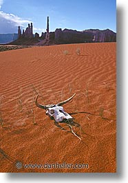 america, arizona, desert southwest, monument, monument valley, north america, united states, valley, vertical, western usa, photograph