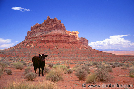 monument-valley-40.jpg