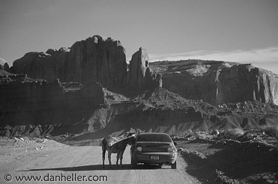 monument-valley-mule-0005.jpg