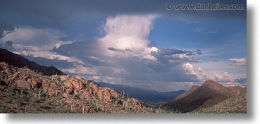 america, arizona, cactus, desert southwest, horizontal, landscapes, north america, panoramic, tucson, united states, western usa, photograph