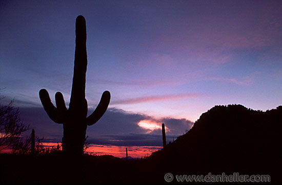 saguaro-sunset-0005.jpg