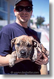 images/UnitedStates/Arizona/Tucson/Misc/holding-puppy.jpg