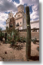 america, arizona, cactus, desert southwest, north america, san xavier, savier, tucson, united states, vertical, western usa, photograph