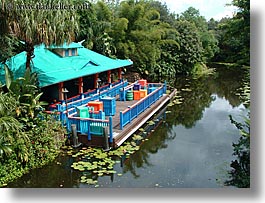 america, animal kingdom, disney, florida, horizontal, jungle, north america, orlando, rivers, united states, photograph