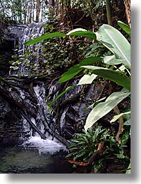 america, animal kingdom, disney, florida, north america, orlando, united states, vertical, waterfalls, photograph