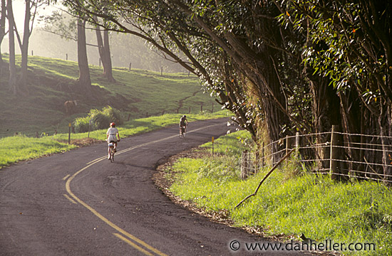 road-bikers.jpg