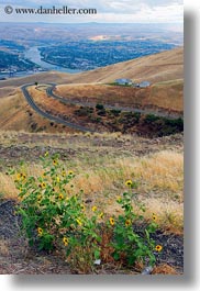 america, flowers, idaho, landscapes, north america, rivers, united states, vertical, photograph