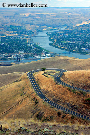 road-winding-around-tree-1.jpg