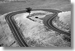 images/UnitedStates/Idaho/Landscapes/road-winding-around-tree-2-bw.jpg