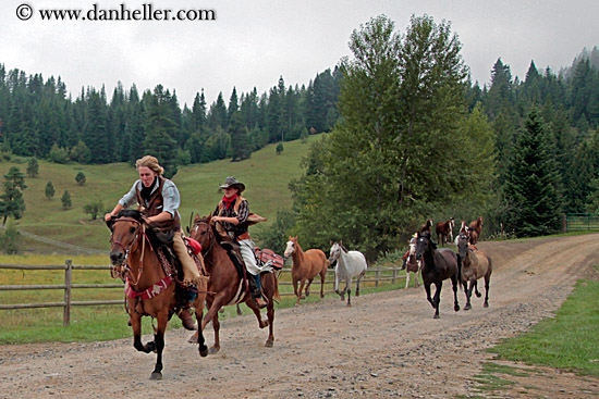 people-riding-horses-14.jpg