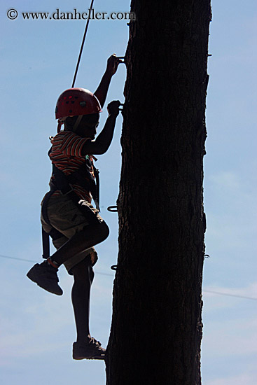 christian-climbing-tree-3.jpg