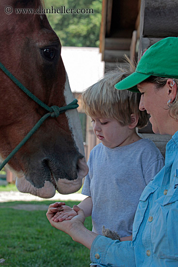 jack-feeding-horse.jpg