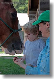 images/UnitedStates/Idaho/RedHorseMountainRanch/People/JackJill/jack-feeding-horse.jpg