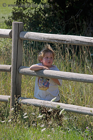 jack-on-fence.jpg