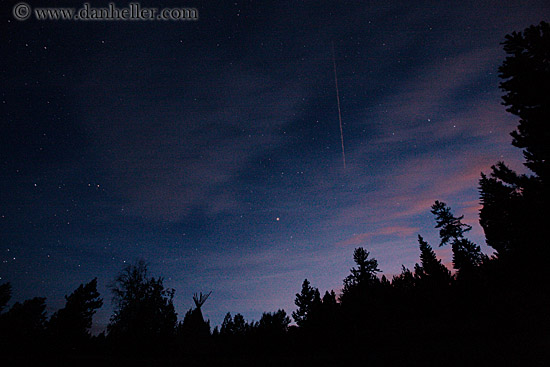 trees-n-airplane-trail.jpg