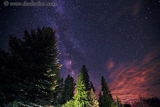 trees-n-milky-way-1.jpg