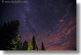 america, horizontal, idaho, long exposure, milky, north america, red horse mountain ranch, scenics, trees, united states, way, photograph