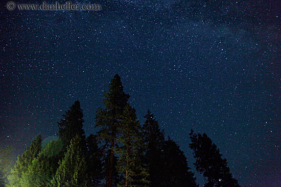 trees-n-milky-way-7.jpg