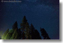 america, horizontal, idaho, long exposure, milky, north america, red horse mountain ranch, scenics, trees, united states, way, photograph