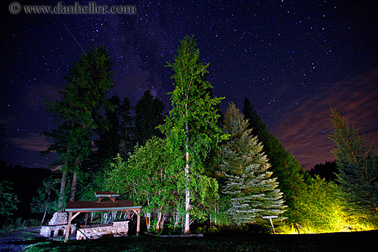 trees-n-milky-way-9.jpg