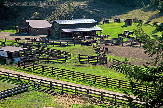 horse-stables-3.jpg