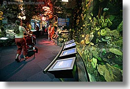 america, aquarium, chicago, horizontal, illinois, north america, strolling, united states, photograph