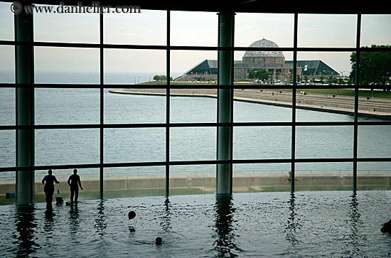 aquarium-view.jpg