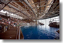 america, aquarium, arena, chicago, dolphins, horizontal, illinois, north america, slow exposure, tanks, united states, water, photograph