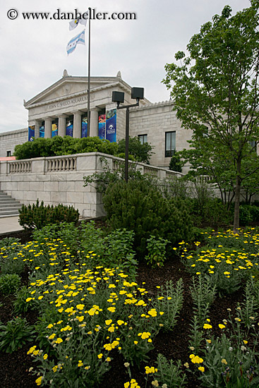 john-shedd-aquarium-2.jpg